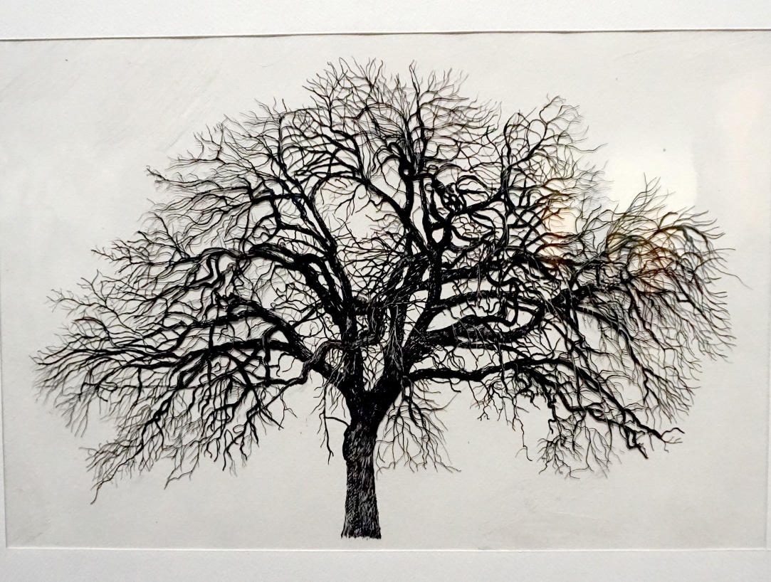 Exposition_Nous-les-arbres_Fondation-Cartier-pour-l-Art-Contemporain_Blog-Juillet-2019_9