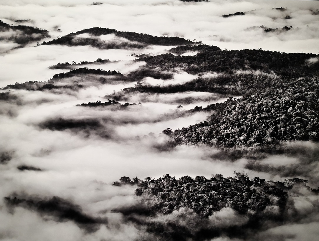 Exposition Sebastiao Salgado - Amazonia - Blog Octobre 2021 - 11