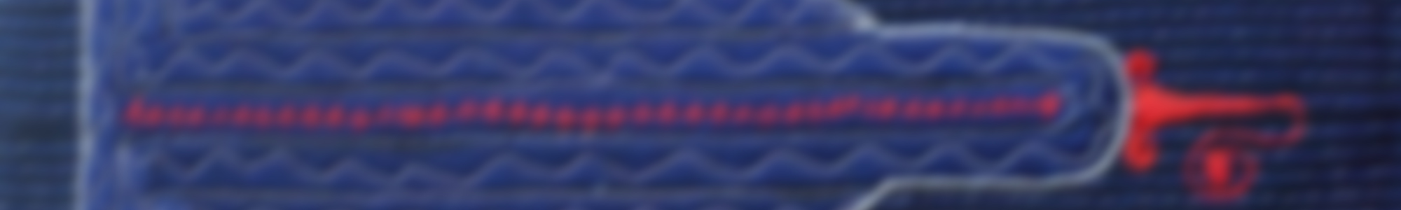 Header-Compagnonnage-ASF